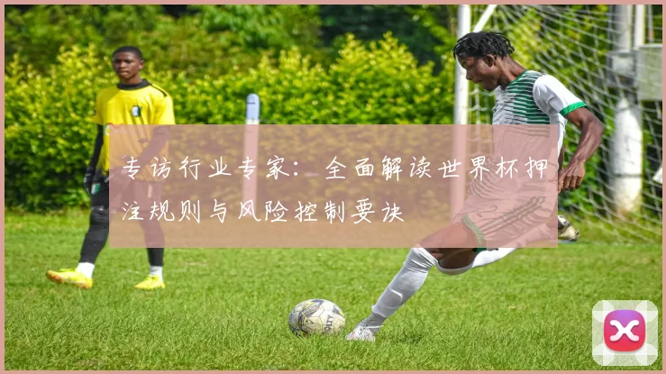 专访行业专家:全面解读世界杯押注规则与风险控制要诀