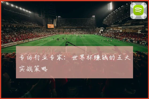 专访行业专家：世界杯赚钱的五大实战策略
