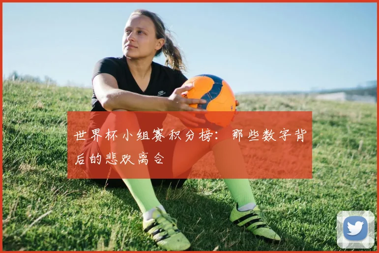 世界杯小组赛积分榜：那些数字背后的悲欢离合